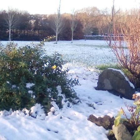 Ashford Haven B&B Cong Zewnętrze zdjęcie