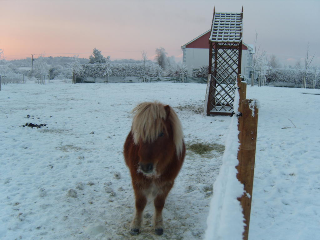 Ashford Haven B&B Cong Zewnętrze zdjęcie