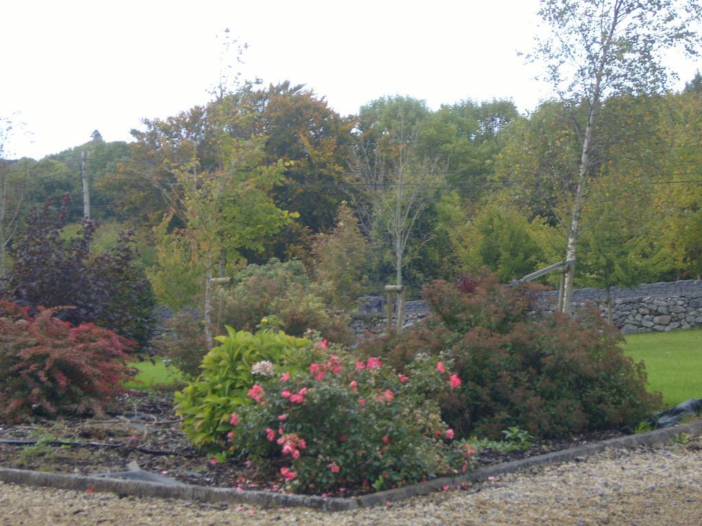Ashford Haven B&B Cong Zewnętrze zdjęcie