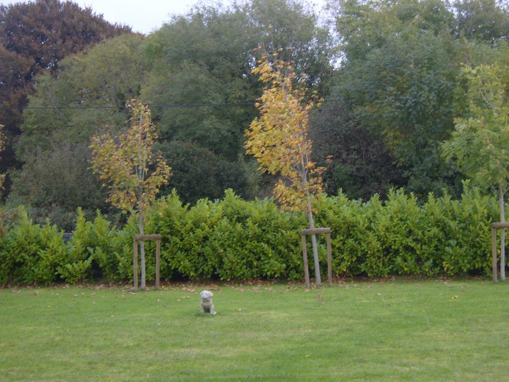 Ashford Haven B&B Cong Zewnętrze zdjęcie