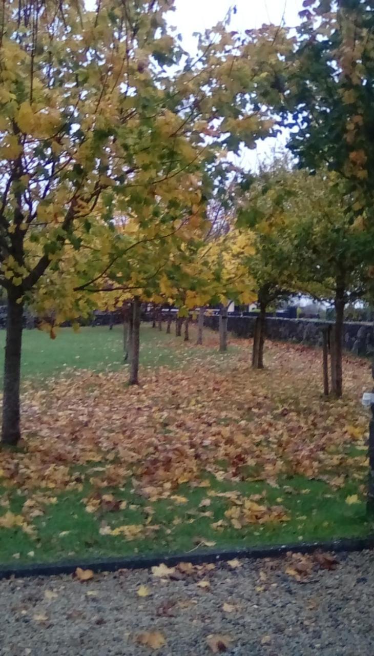 Ashford Haven B&B Cong Zewnętrze zdjęcie