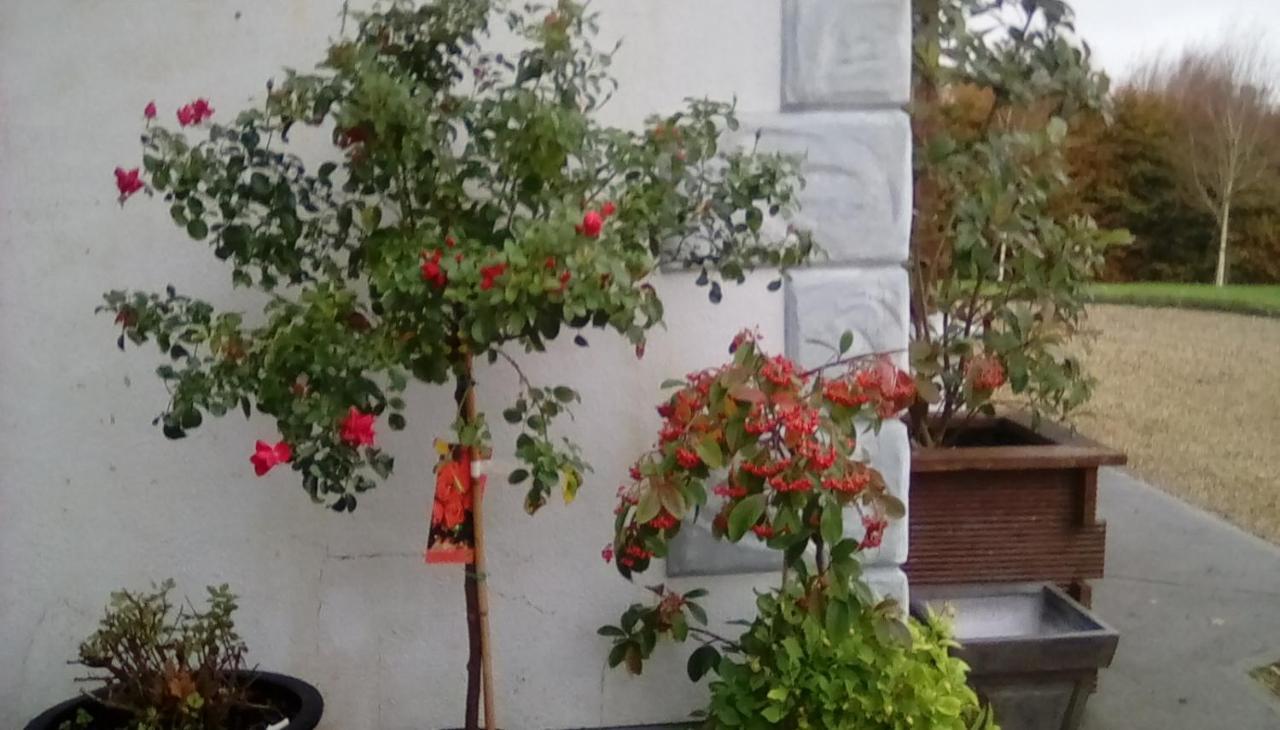 Ashford Haven B&B Cong Zewnętrze zdjęcie