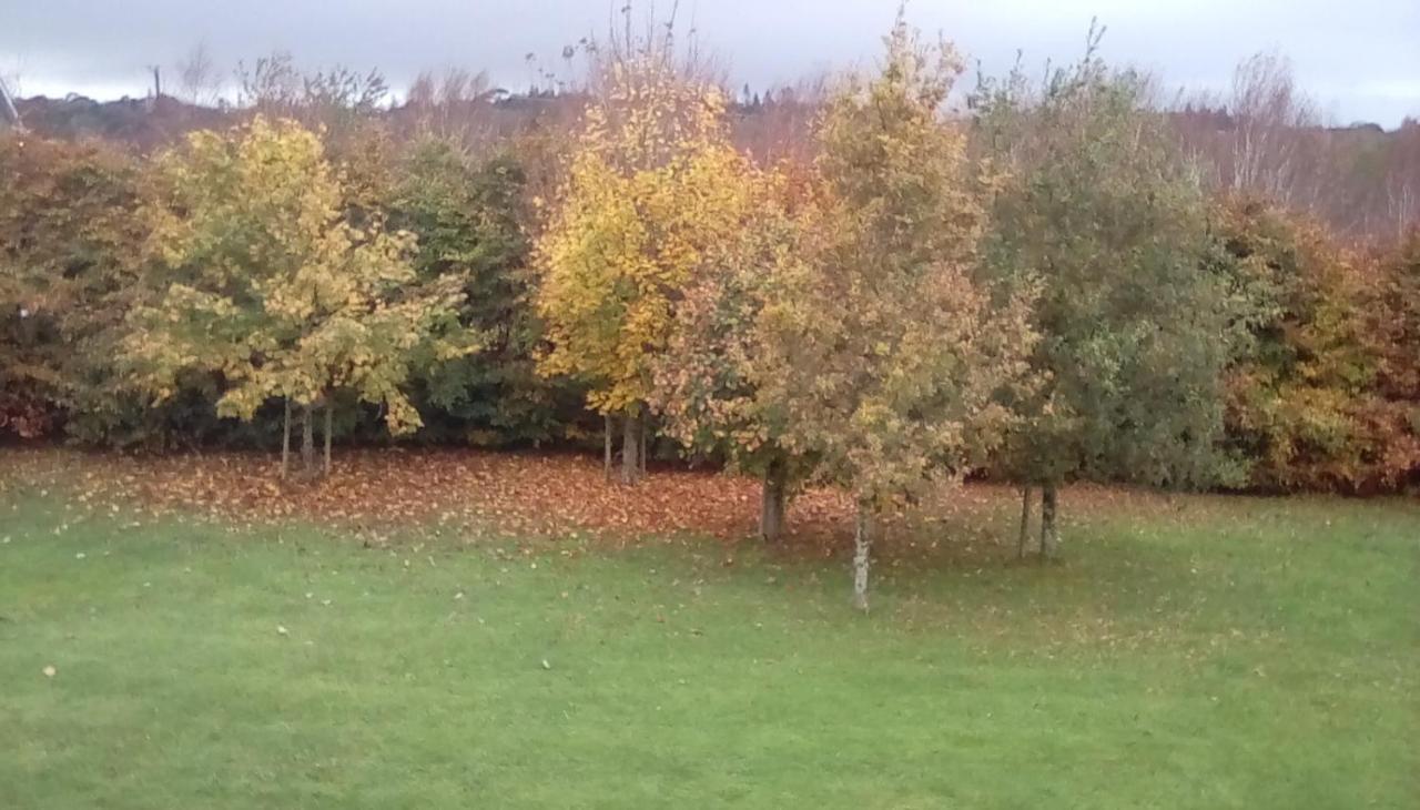 Ashford Haven B&B Cong Zewnętrze zdjęcie
